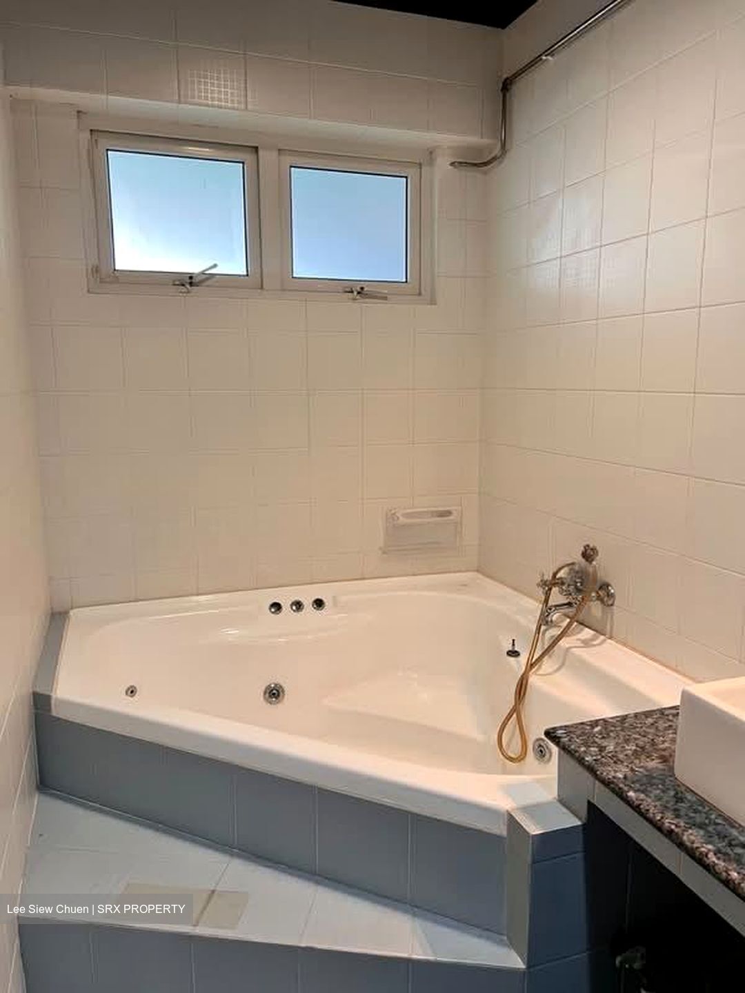 Bukit Timah Road (D10), Shop House #598155971